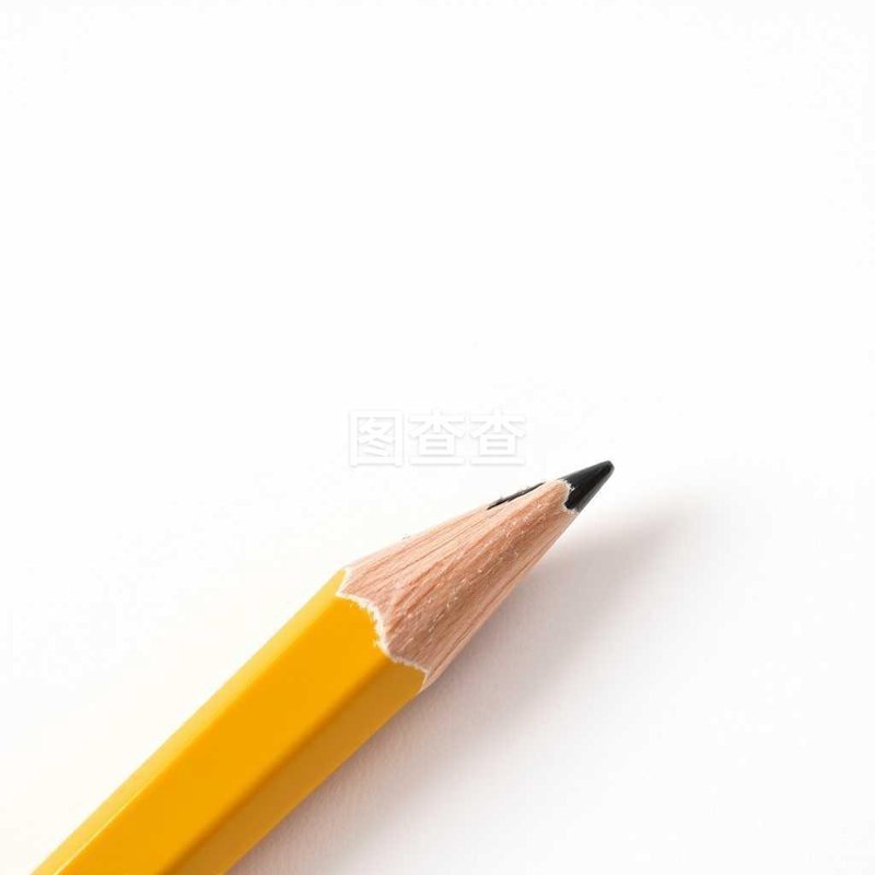 图像分割技术：为视觉分析注入新活力